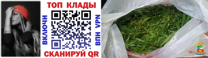 Где купить наркотики Сольцы Псилоцибиновые грибы  Cocaine  Гашиш  Марихуана  Alpha-PVP  АМФ 