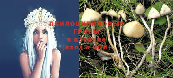 мет Арсеньев