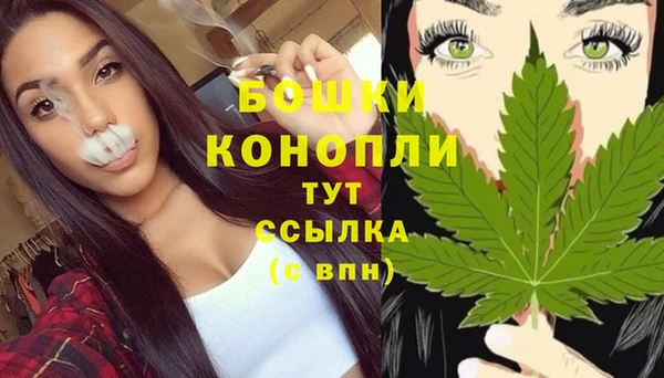 мет Арсеньев