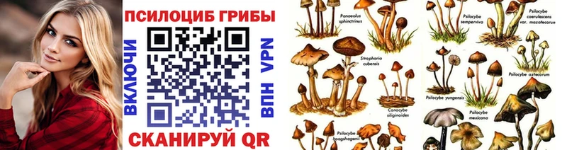 MEGA ТОР Сольцы Галлюциногенные грибы прущие грибы дарнет шоп